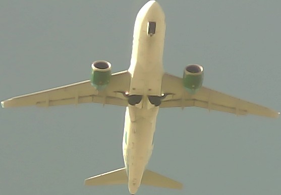 Airplane Picture