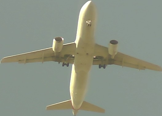 Airplane Picture