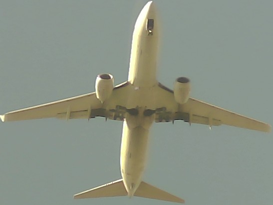 Airplane Picture