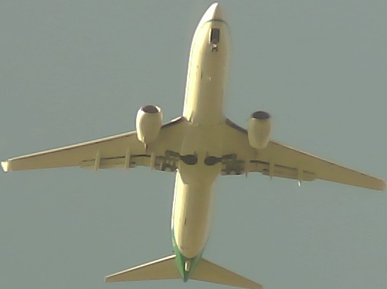 Airplane Picture
