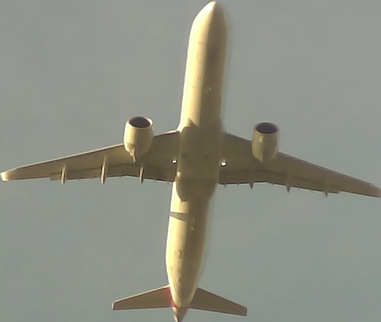 Airplane Picture