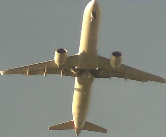 Airplane Picture
