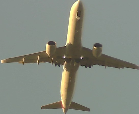 Airplane Picture