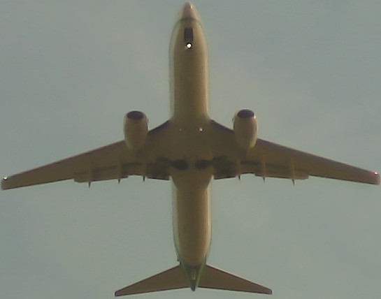 Airplane Picture