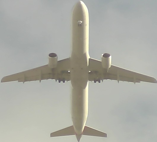 Airplane Picture