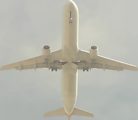 Airplane Picture