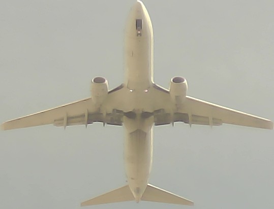 Airplane Picture