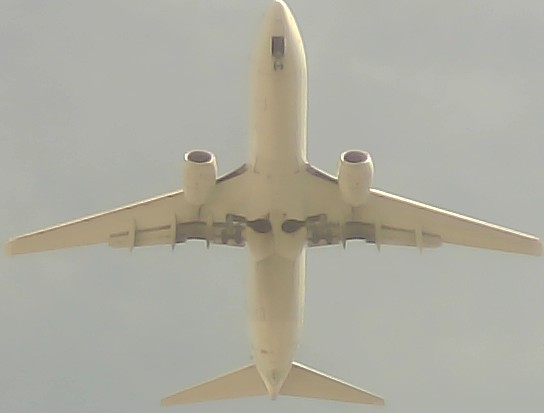 Airplane Picture