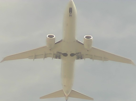 Airplane Picture