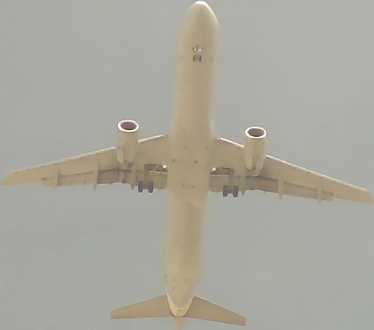 Airplane Picture