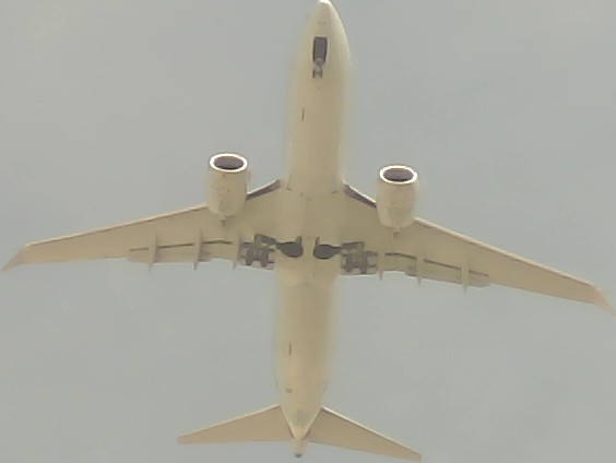Airplane Picture