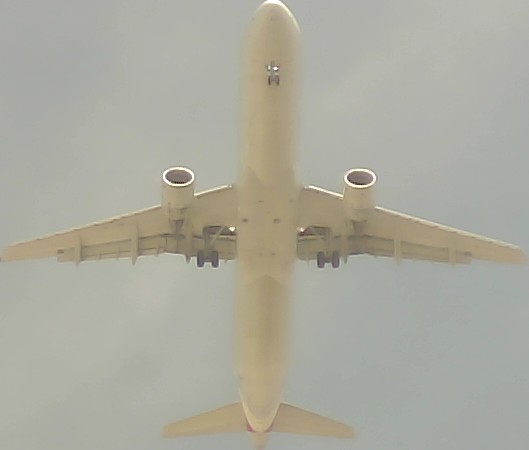 Airplane Picture