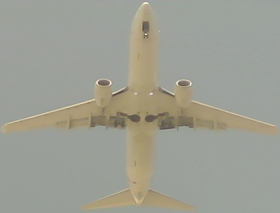 Airplane Picture