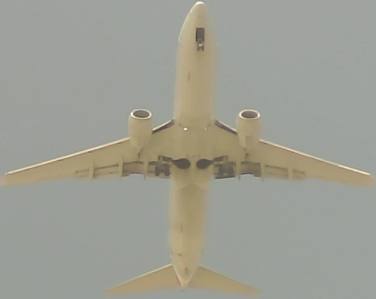 Airplane Picture