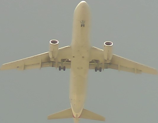 Airplane Picture