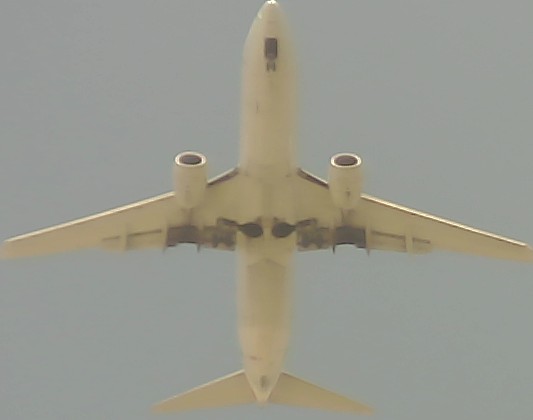 Airplane Picture
