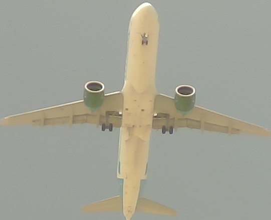 Airplane Picture