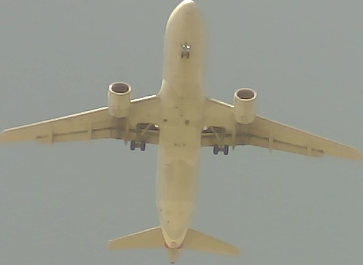 Airplane Picture