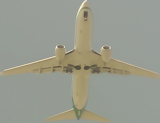 Airplane Picture