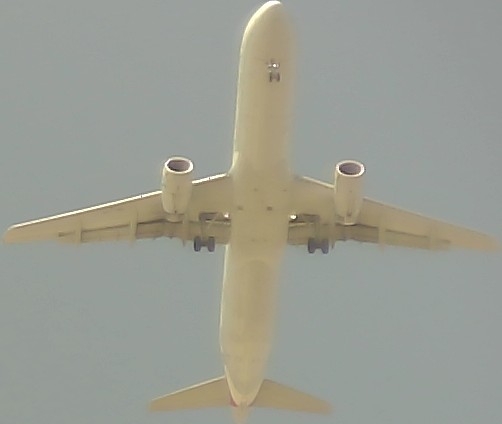 Airplane Picture