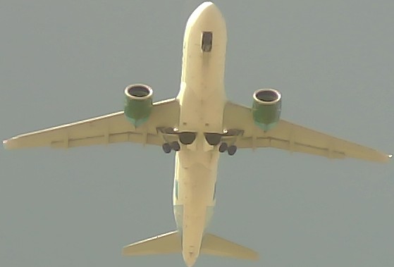 Airplane Picture