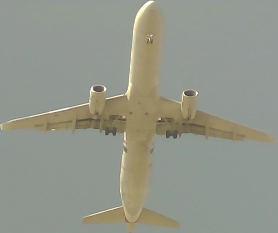 Airplane Picture