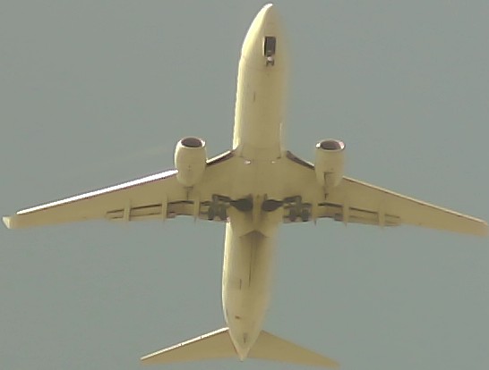 Airplane Picture