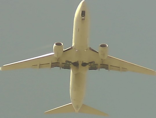 Airplane Picture