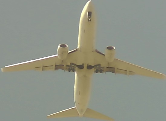 Airplane Picture