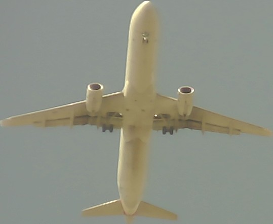 Airplane Picture