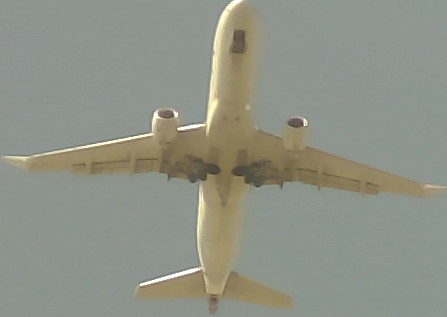 Airplane Picture