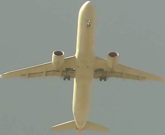 Airplane Picture