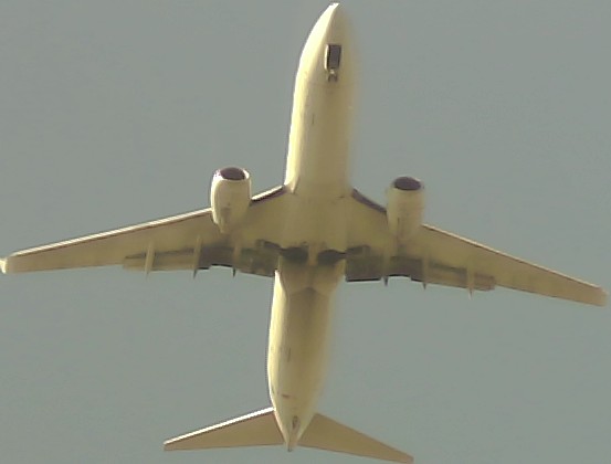 Airplane Picture