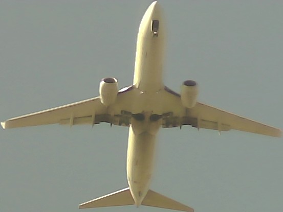 Airplane Picture
