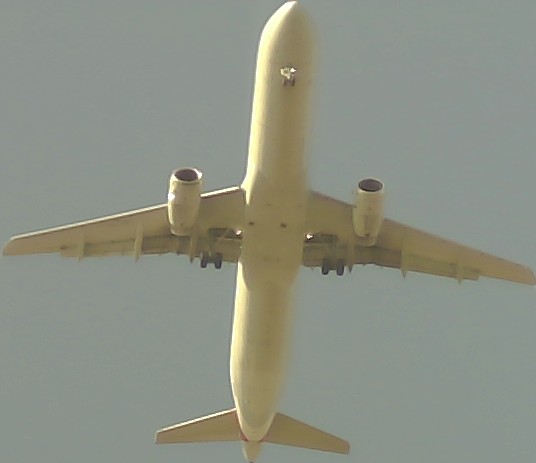 Airplane Picture