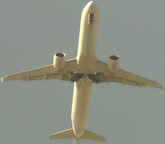 Airplane Picture