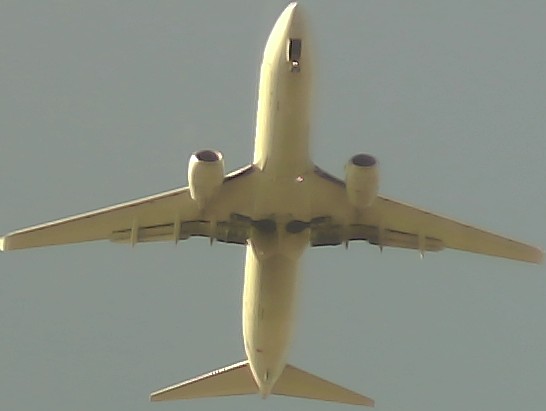 Airplane Picture