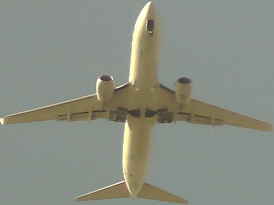 Airplane Picture