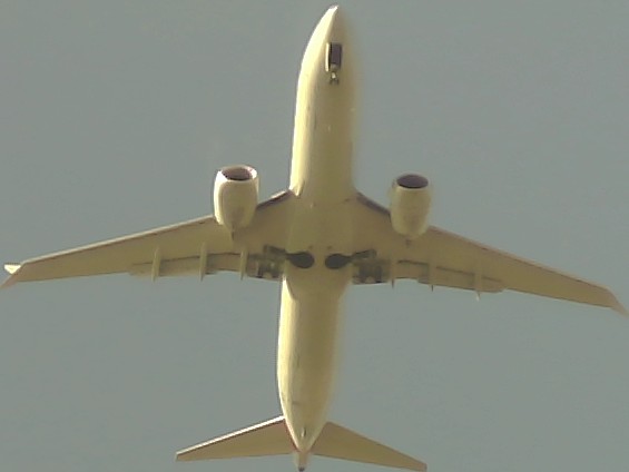Airplane Picture