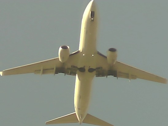 Airplane Picture