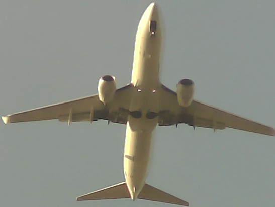 Airplane Picture