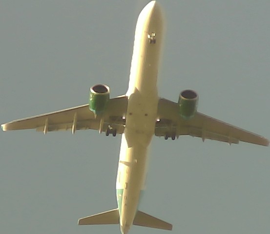 Airplane Picture