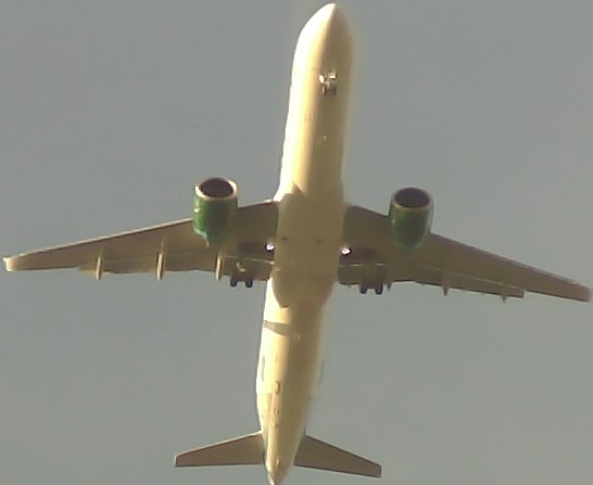 Airplane Picture