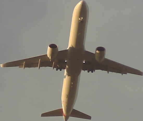 Airplane Picture
