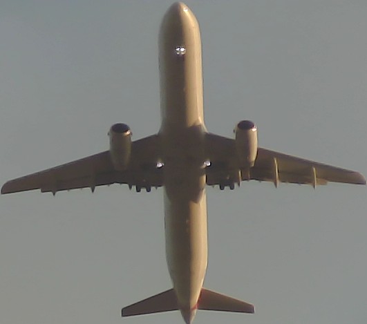 Airplane Picture