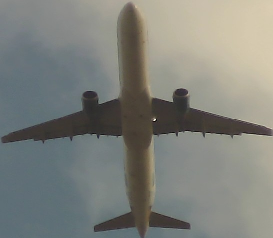 Airplane Picture