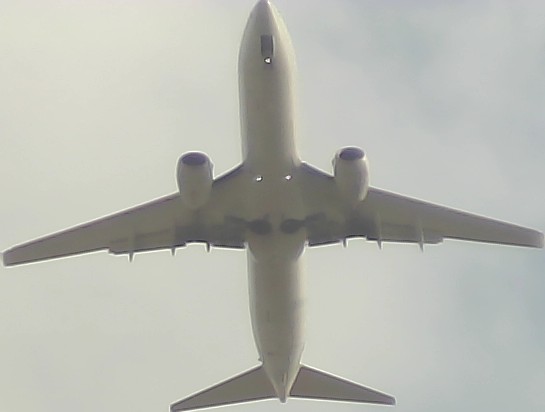Airplane Picture