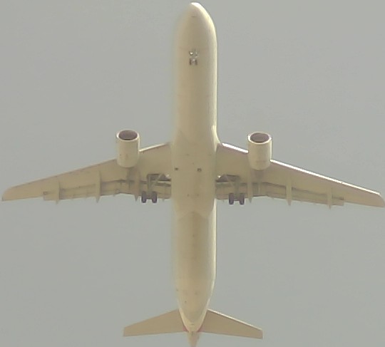 Airplane Picture