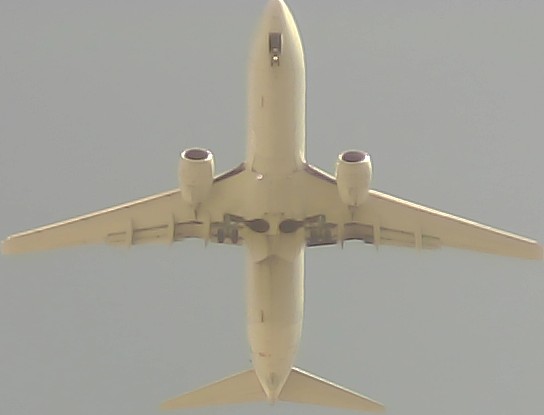 Airplane Picture