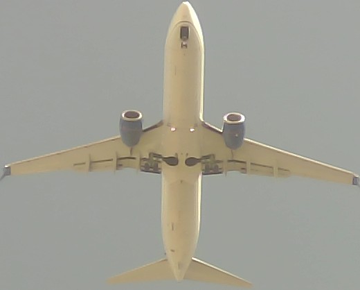 Airplane Picture
